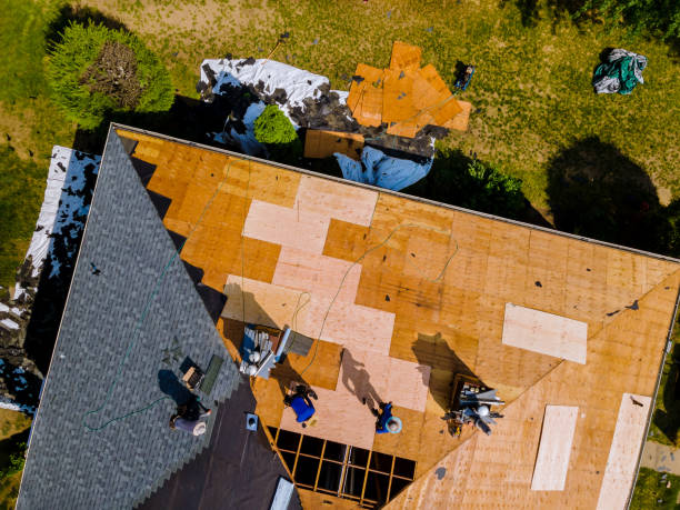 Best Roof Gutter Cleaning  in Glencoe, AL