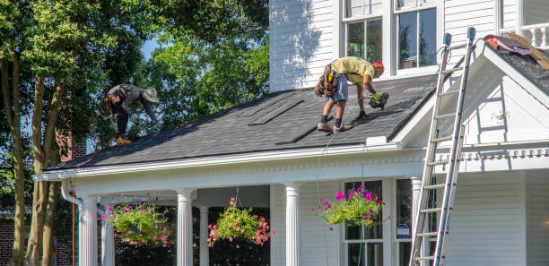 Best Storm Damage Roof Repair  in Glencoe, AL